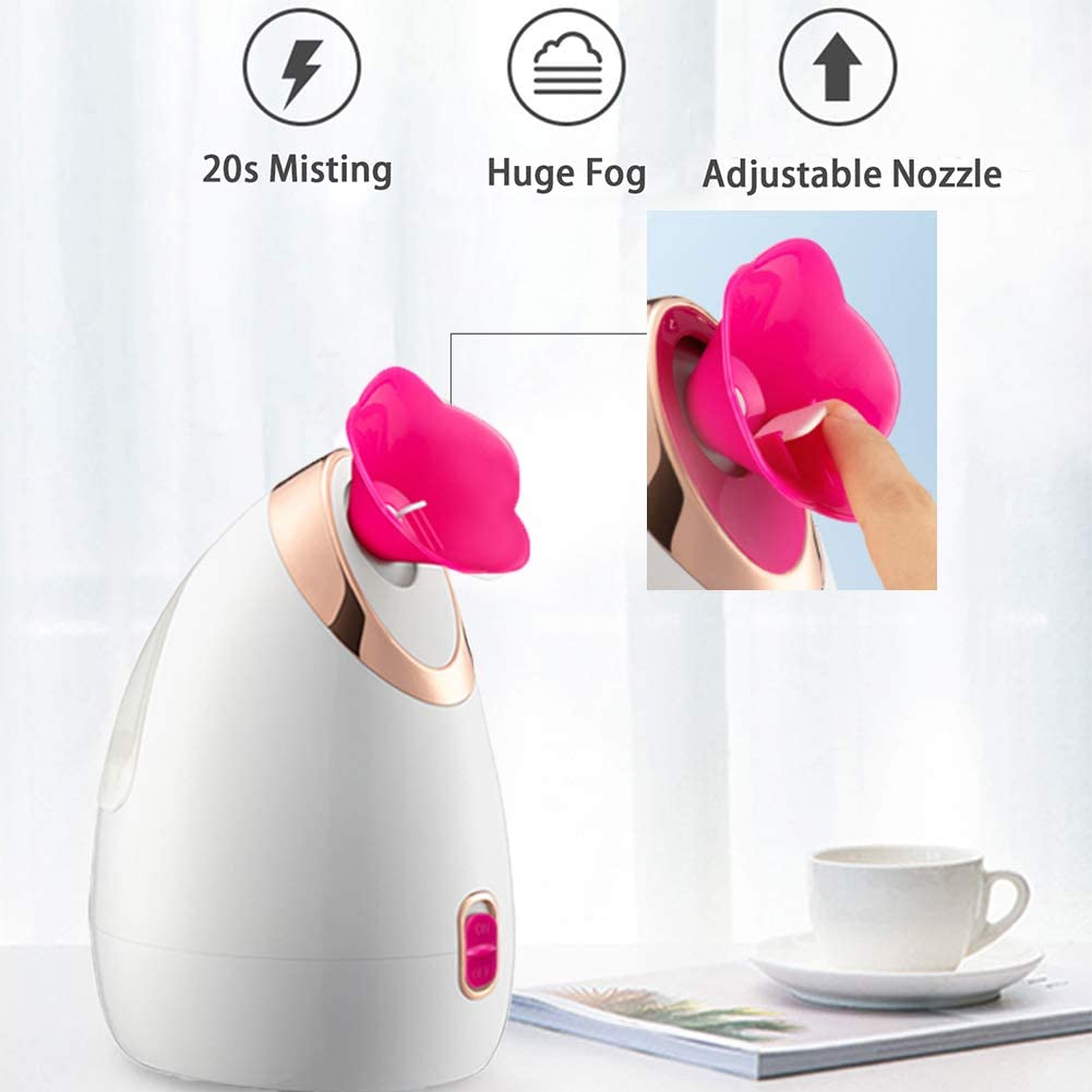 Facial Nano Ionic Face Steamer