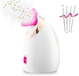 Facial Nano Ionic Face Steamer